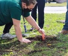 Tecpar em Ação celebra o Dia Internacional do Voluntariado com balanço das ações