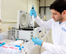 Análise Merenda Escolar