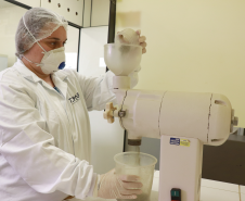 Análise Merenda Escolar