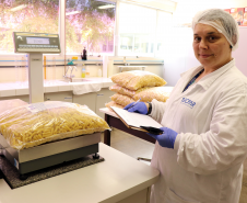 Análise Merenda Escolar