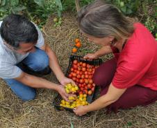 Parceria entre Tecpar e AMP leva informações sobre produção orgânica a municípios do Paraná