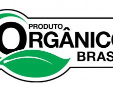 Tecpar dá dicas para identificar se um produto é mesmo orgânico
