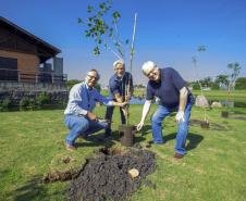 Empresas do Parque Tecnológico da Saúde plantam árvores em alusão ao Dia da Árvore