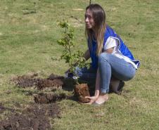 Empresas do Parque Tecnológico da Saúde plantam árvores em alusão ao Dia da Árvore