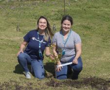 Empresas do Parque Tecnológico da Saúde plantam árvores em alusão ao Dia da Árvore