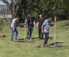 Empresas do Parque Tecnológico da Saúde plantam árvores em alusão ao Dia da Árvore