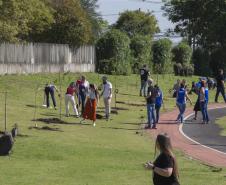 Empresas do Parque Tecnológico da Saúde plantam árvores em alusão ao Dia da Árvore