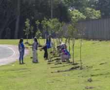 Empresas do Parque Tecnológico da Saúde plantam árvores em alusão ao Dia da Árvore