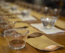 Com apoio do Tecpar, empreendedores vão produzir água para cafés especiais