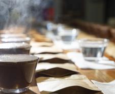 Com apoio do Tecpar, empreendedores vão produzir água para cafés especiais