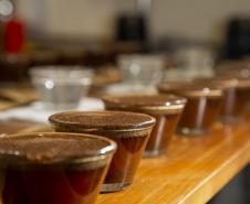 Com apoio do Tecpar, empreendedores vão produzir água para cafés especiais