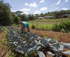 Tecpar certifica 271 produtores orgânicos de São José dos Pinhais