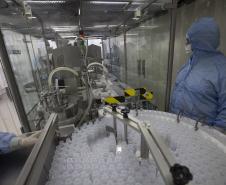 Tecpar moderniza laboratório de vacina antirrábica para ampliar capacidade de produção
