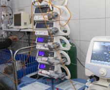 Tecpar conclui projeto-piloto de acreditação de estabelecimentos veterinários