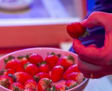 Pesquisa propõe soluções sustentáveis para a agricultura e conservação de alimentos