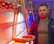 Pesquisa propõe soluções sustentáveis para a agricultura e conservação de alimentos