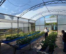 O Instituto de Tecnologia do Paraná (Tecpar) concluiu um projeto de pesquisa para implementar uma nova tecnologia agrícola de controle biológico no Brasil. 