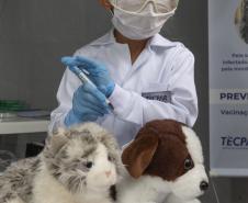 tecpar_-_juntospelasaude