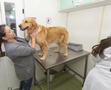 tecpar_-_juntospelasaude