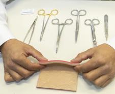 Incubada pelo Tecpar, startup produz pele artificial para simular cirurgias veterinárias