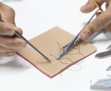 Incubada pelo Tecpar, startup produz pele artificial para simular cirurgias veterinárias