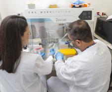 Parceria entre Tecpar e UFPR fortalece PD&I de vacina antirrábica veterinária