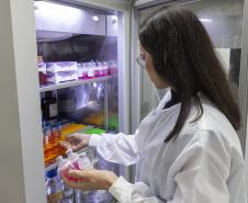 Parceria entre Tecpar e UFPR fortalece PD&I de vacina antirrábica veterinária