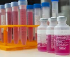 Parceria entre Tecpar e UFPR fortalece PD&I de vacina antirrábica veterinária