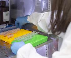 Parceria entre Tecpar e UFPR fortalece PD&I de vacina antirrábica veterinária