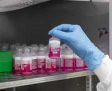 Parceria entre Tecpar e UFPR fortalece PD&I de vacina antirrábica veterinária