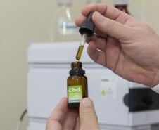 Plataforma do Tecpar vai apoiar profissionais da saúde na prescrição de cannabis medicinal