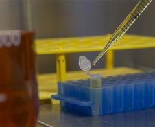 O caminho da vacina do Tecpar até chegar aos braços dos brasileiros 