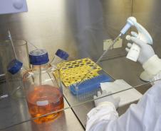 O caminho da vacina do Tecpar até chegar aos braços dos brasileiros 