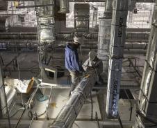 Paraná se prepara para fornecer insumos para saúde animal a todo o país