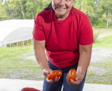 Liderança nacional do Paraná na produção de orgânicos tem certificação do Tecpar