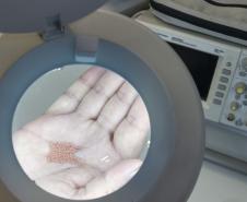 Startup incubada pelo Tecpar aposta em tecnologia que promete transformar produção farmacêutica no Brasil