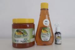 A empresa Entreposto Colmeia Real, recebeu a certificação por sua Produção Primária Animal (colmeias de abelhas) e por Processamento de Produtos de Origem Animal (mel, cera de abelha e extrato de própolis).