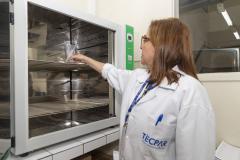 Cinco serviços que o Tecpar realiza 