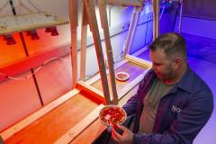 Pesquisa propõe soluções sustentáveis para a agricultura e conservação de alimentos