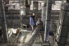 Paraná se prepara para fornecer insumos para saúde animal a todo o país 