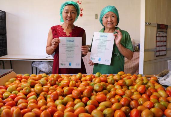 TECPAR - Produtoras da chácara Nakui, que cultiva orgânicos em Piraquara, certificada pelo Tecpar. 