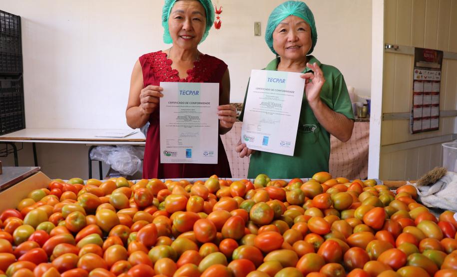 Agricultor familiar certificado pelo Tecpar, por meio do Paraná Mais Orgânico