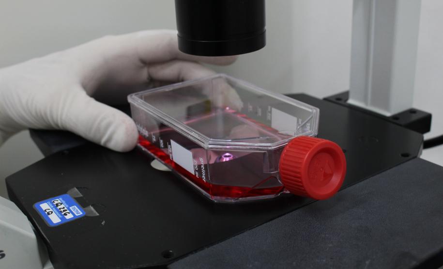 CQ - Cultivo Celular 01