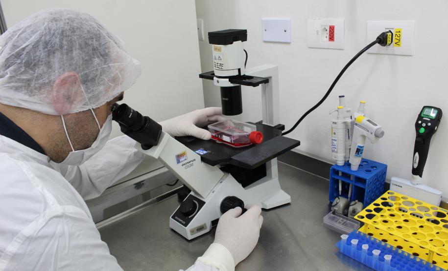 CQ - Cultivo Celular 01