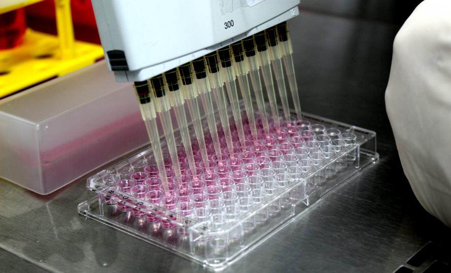 CQ - Ensaio de soroneutralização