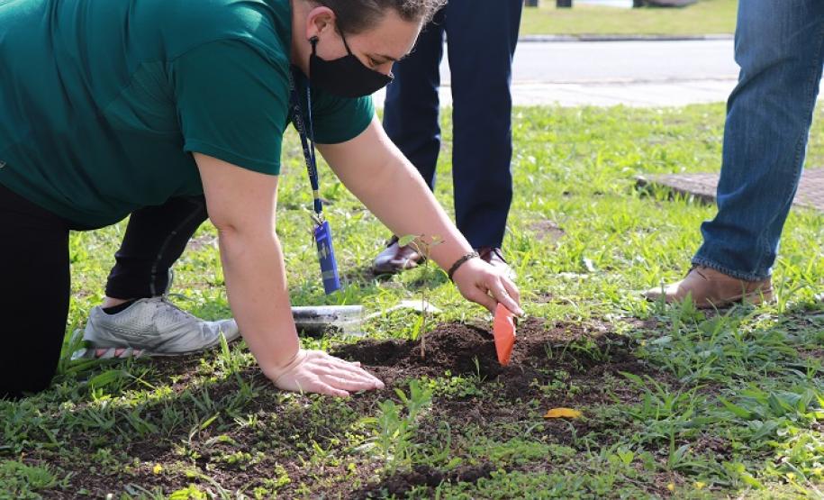 Tecpar em Ação celebra o Dia Internacional do Voluntariado com balanço das ações