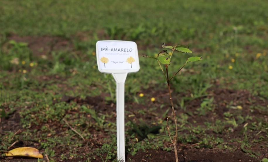 Tecpar em Ação celebra o Dia Internacional do Voluntariado com balanço das ações
