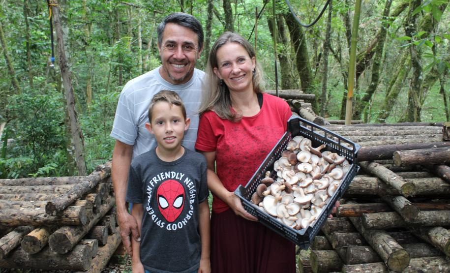 Na Chácara Recanto das Laranjeiras, em Aracária,o casal Gilmar Matos de Andrade e Nanci Novak, vive da agricultura orgânica e tem seus produtos certificados pelo Tecpar, entre eles o shitake.