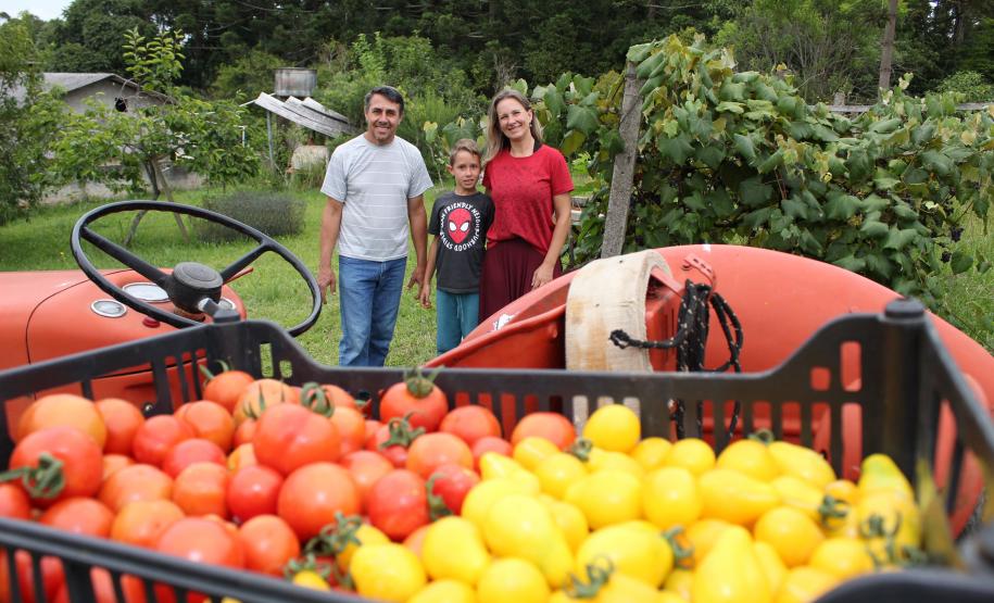 Na Chácara Recanto das Laranjeiras, em Aracária,o casal Gilmar Matos de Andrade e Nanci Novak, vive da agricultura orgânica e tem seus produtos certificados pelo Tecpar.
