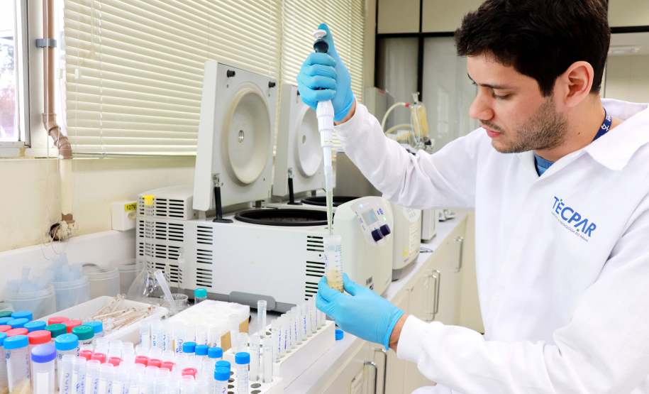 Análise Merenda Escolar